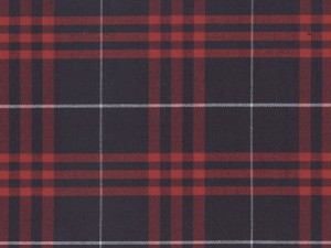 YOUNG FASHIONS PLAID 77 (ALSO PLAID 37 or HAMILTON)