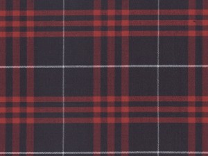 YOUNG FASHIONS PLAID 77 (ALSO PLAID 37)