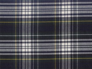 YOUNG FASHIONS PLAID 82 (ALSO PLAID 61)