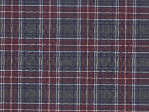 YOUNG FASHIONS PLAID 84 (ALSO 6T)