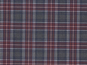 YOUNG FASHIONS PLAID 84 (ALSO 6T)
