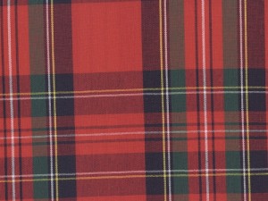 YOUNG FASHIONS PLAID 95 