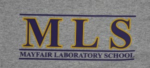 SPIRIT T-SHIRT- SPORT GRAY 